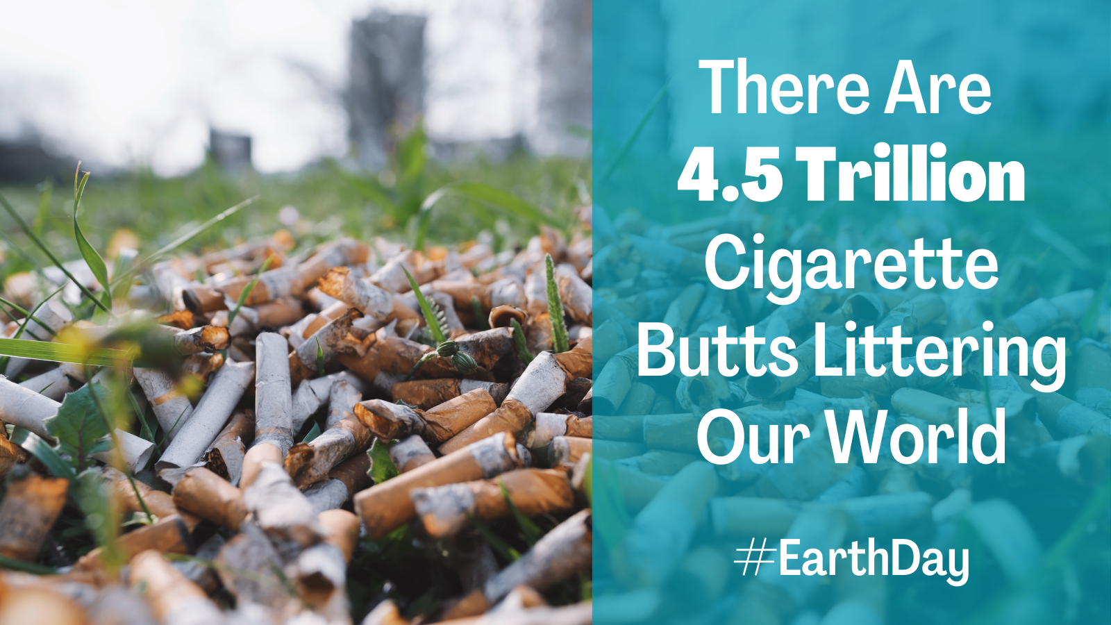 There are 4.5 trillion cigarette butts littering our world #EarthDay